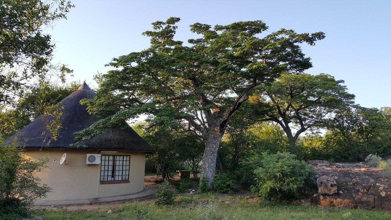 Awelani Lodge Masisi Dış mekan fotoğraf