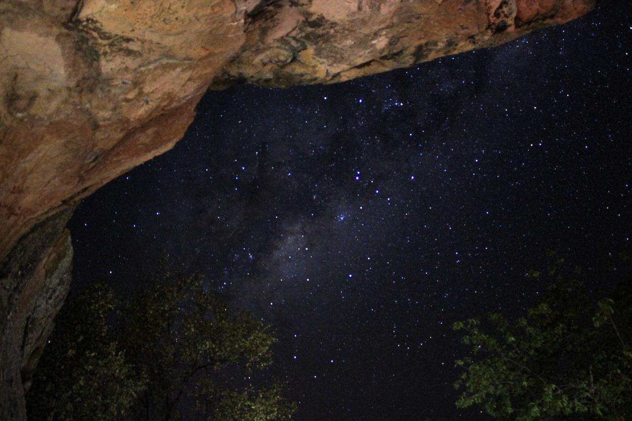 Awelani Lodge Masisi Dış mekan fotoğraf