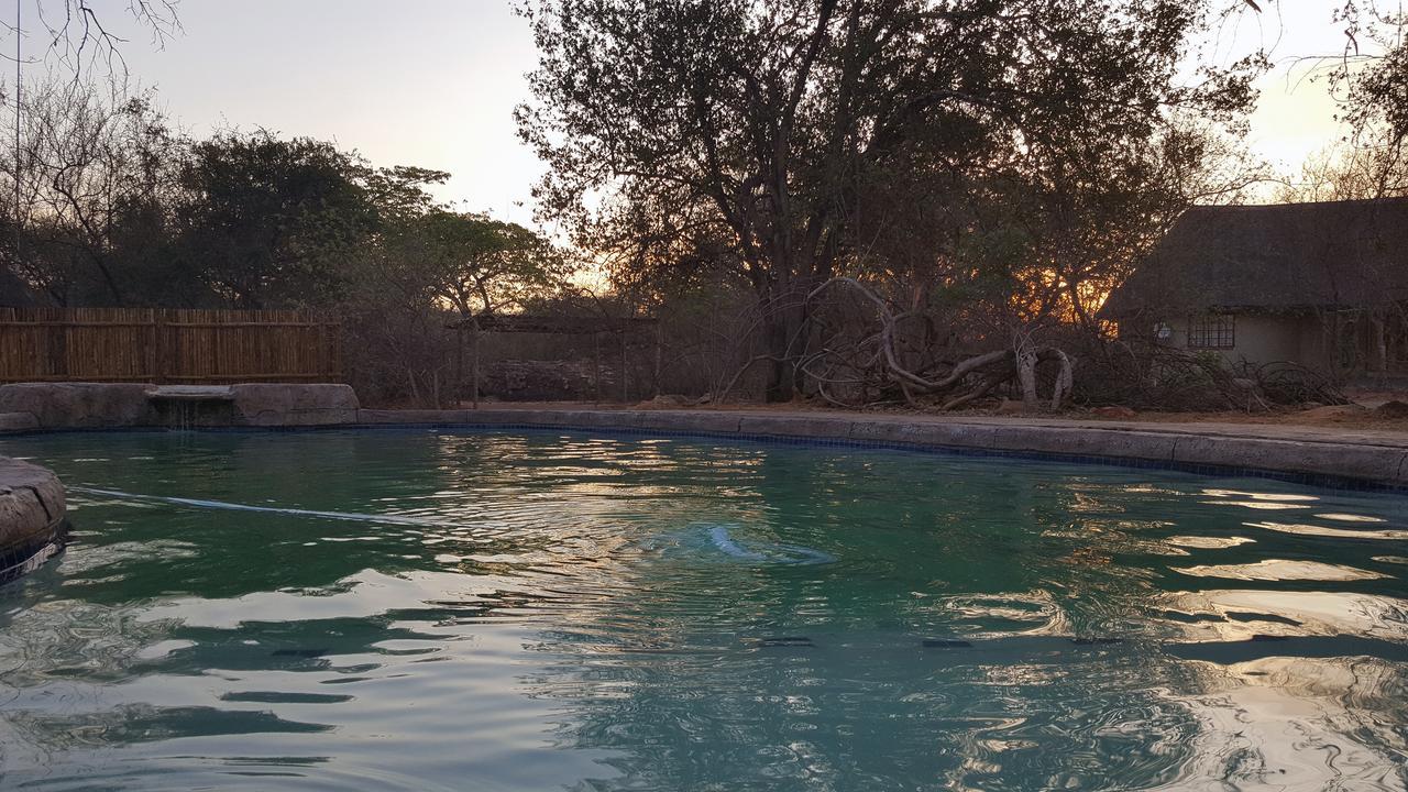 Awelani Lodge Masisi Dış mekan fotoğraf