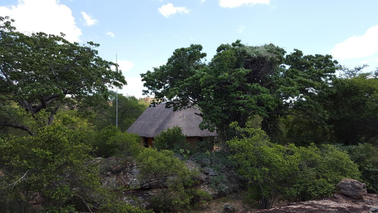 Awelani Lodge Masisi Dış mekan fotoğraf
