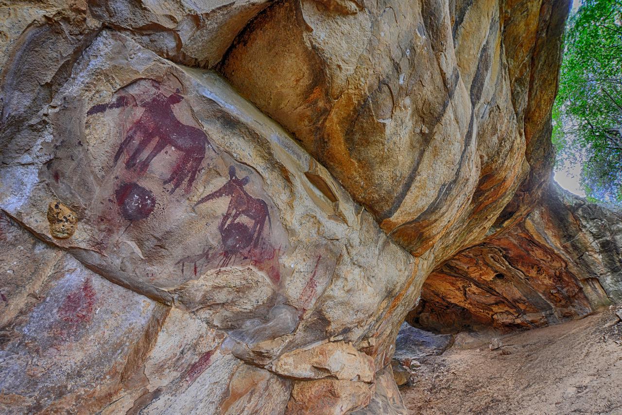 Awelani Lodge Masisi Dış mekan fotoğraf
