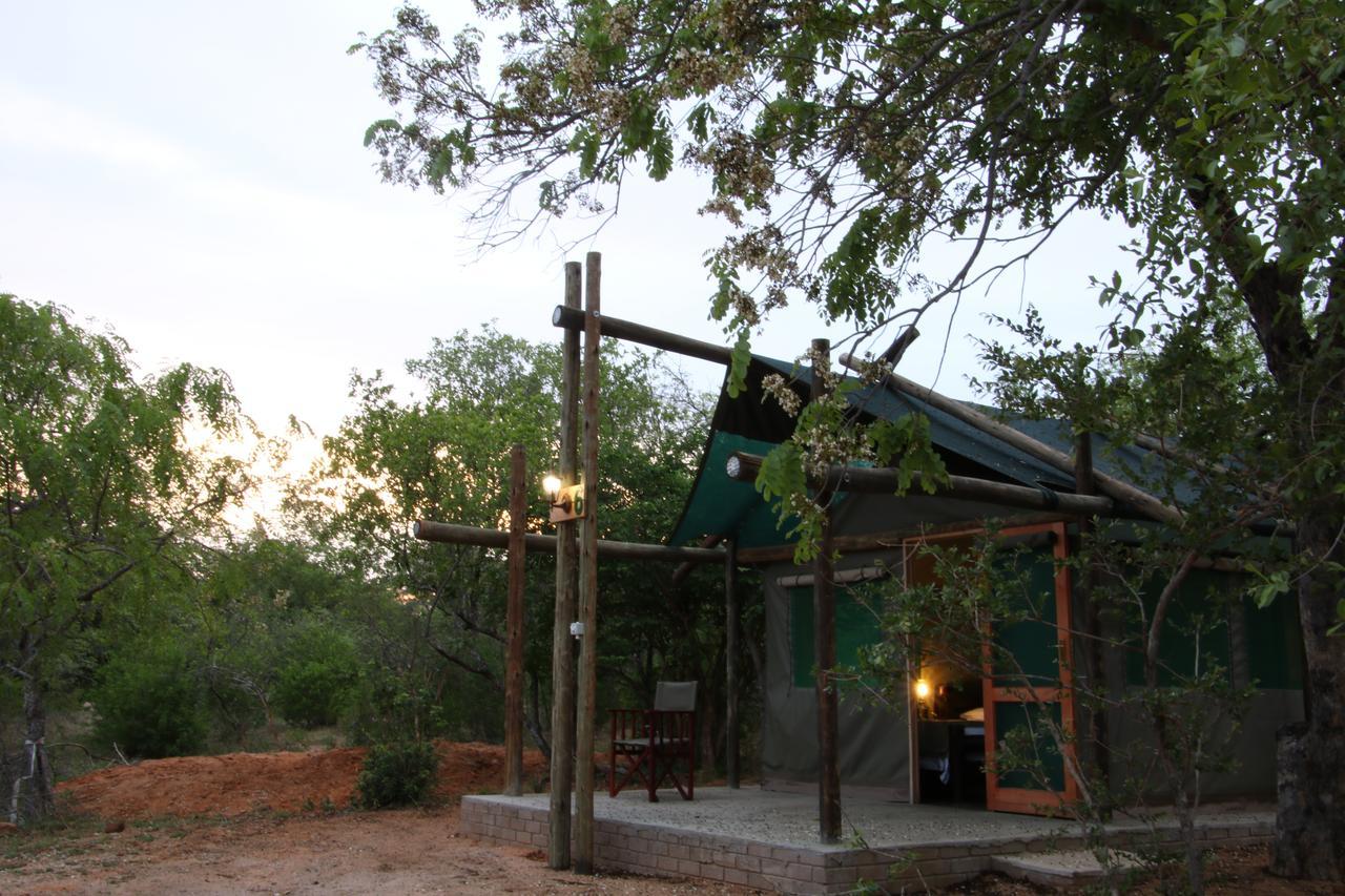 Awelani Lodge Masisi Dış mekan fotoğraf