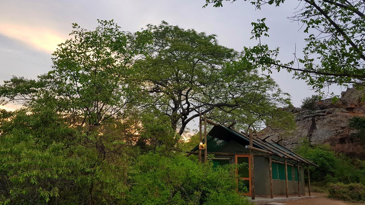 Awelani Lodge Masisi Dış mekan fotoğraf